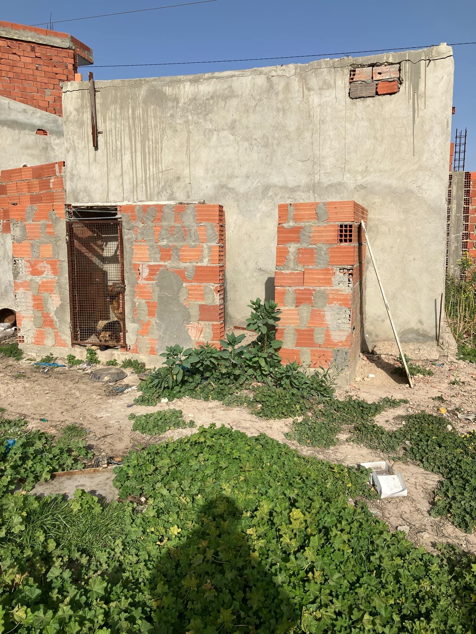 *منزل مع طابق أول + أرض بواد ميمون (بعد القنطرة، طريق كروسية)       إعلان بيع عقار 🏡