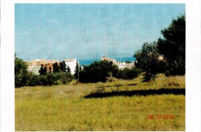 Terrain Constructible Chat Meryem Sousse