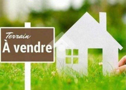 terrain sidi Bou Ali